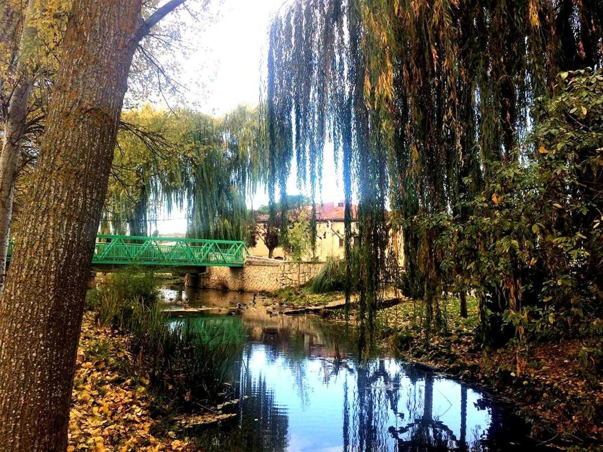 Apartamento Ribera del Duero Reserva Tubilla del Lago Exterior foto